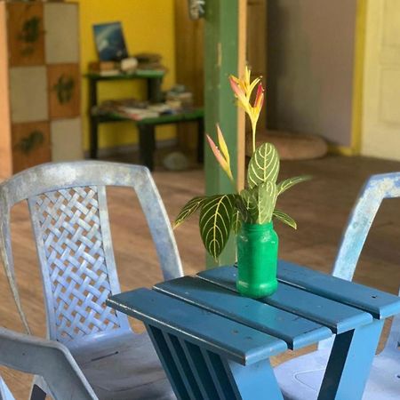 La Y Surf Camp Hotel Bocas Town Luaran gambar