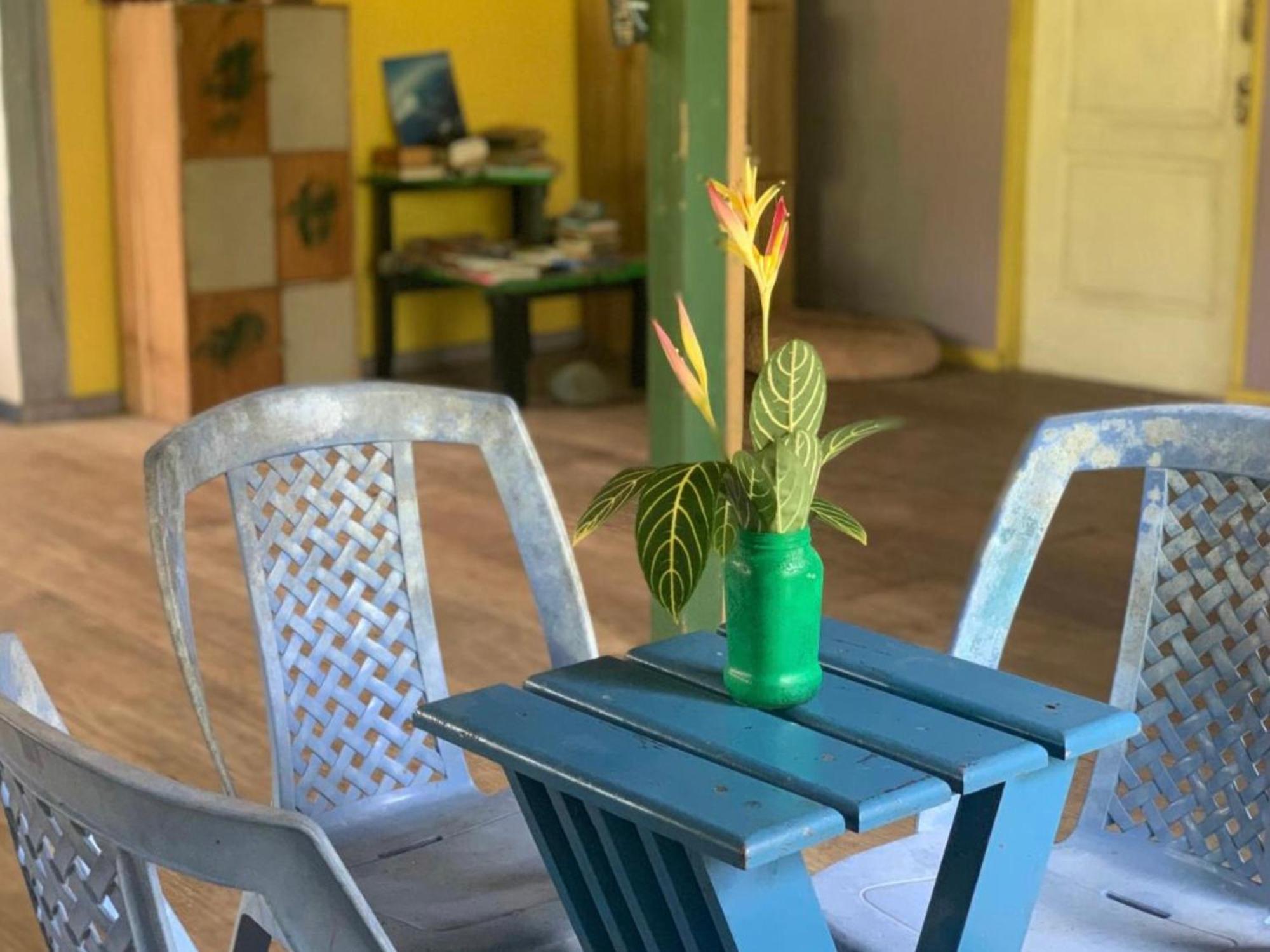 La Y Surf Camp Hotel Bocas Town Luaran gambar